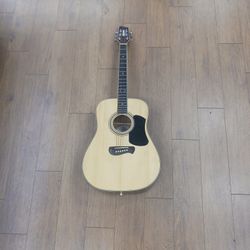 Olympia By Tacoma Acoustic Guitar 