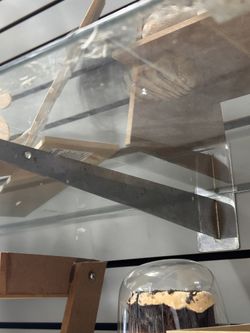 Glass Shelves