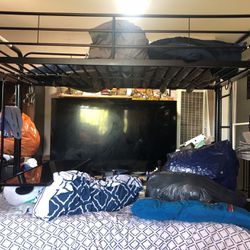 Free Sofa Bunk Bed Need Gone ASAP