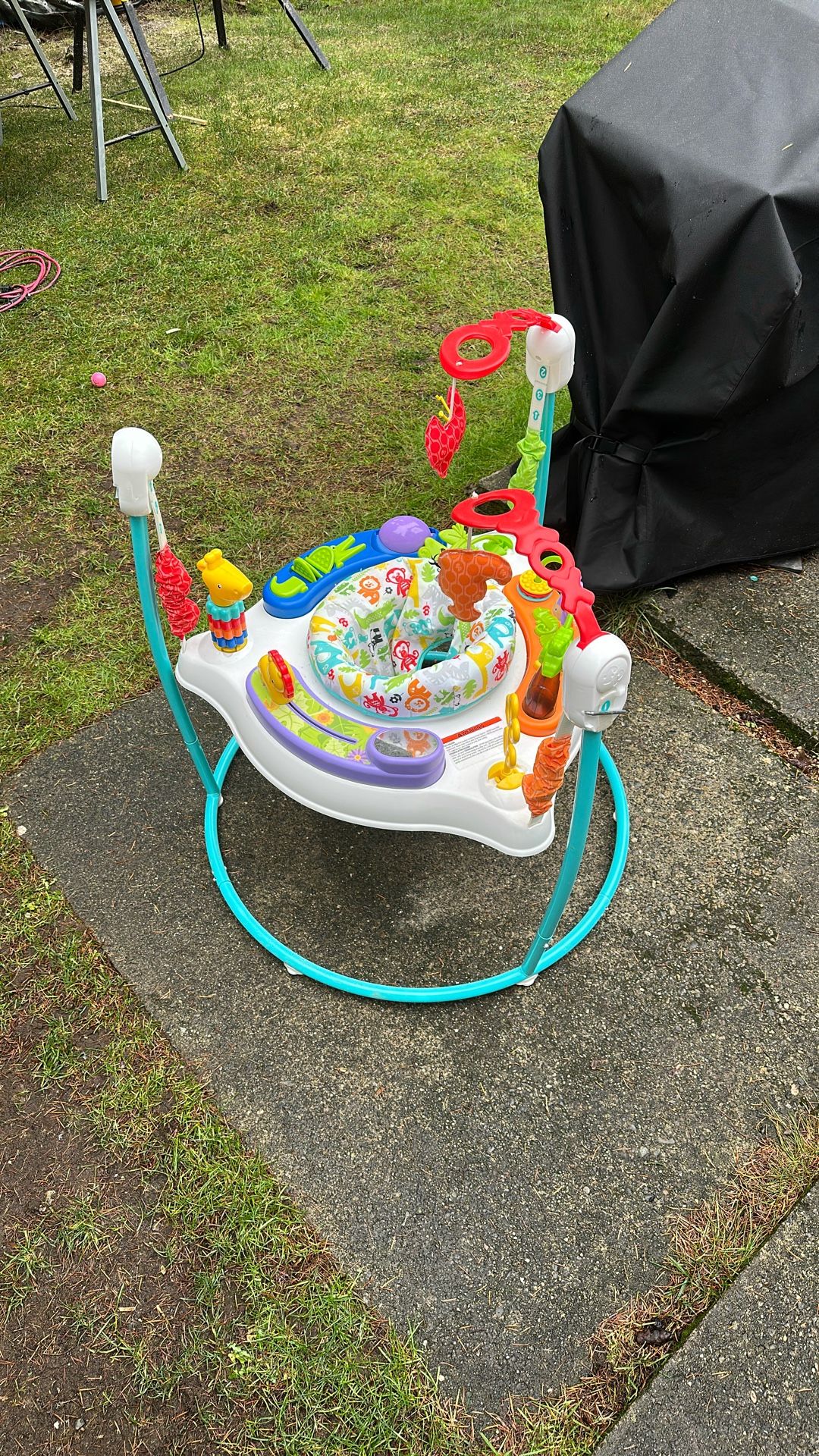 Fisher-Price Baby Jumper