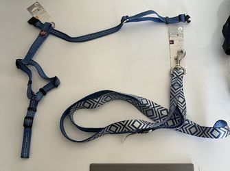 Small Dog Harness & 6’ Lead New