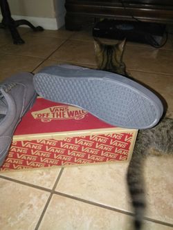 Men's Gray Vans