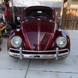 1964 Volkswagen Beetle on offerup