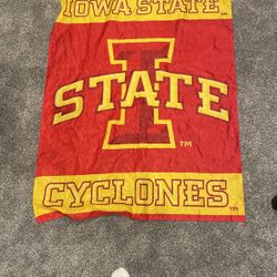 Iowa State Flag 
