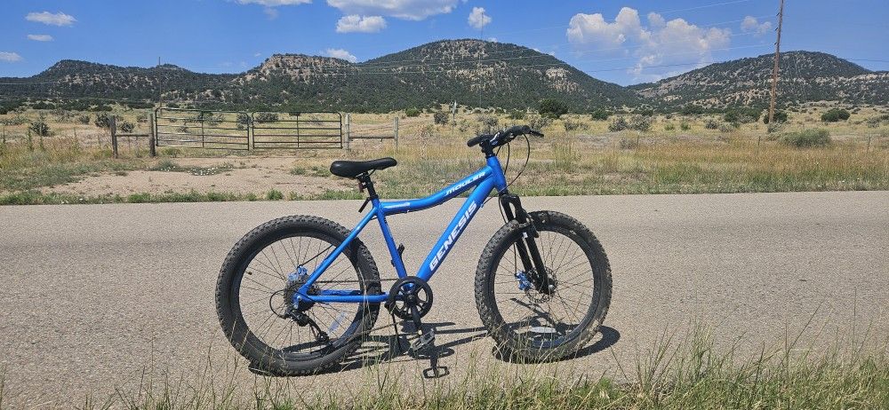 Genesis Mauler Mountain Bike