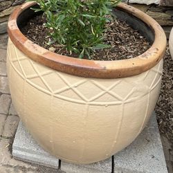 Beautiful Planter / Pot