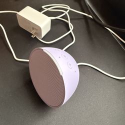 Echo Pop