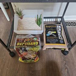 Reptile Sand Box