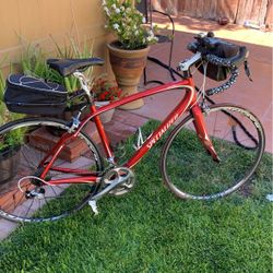Sports Bicycle 
