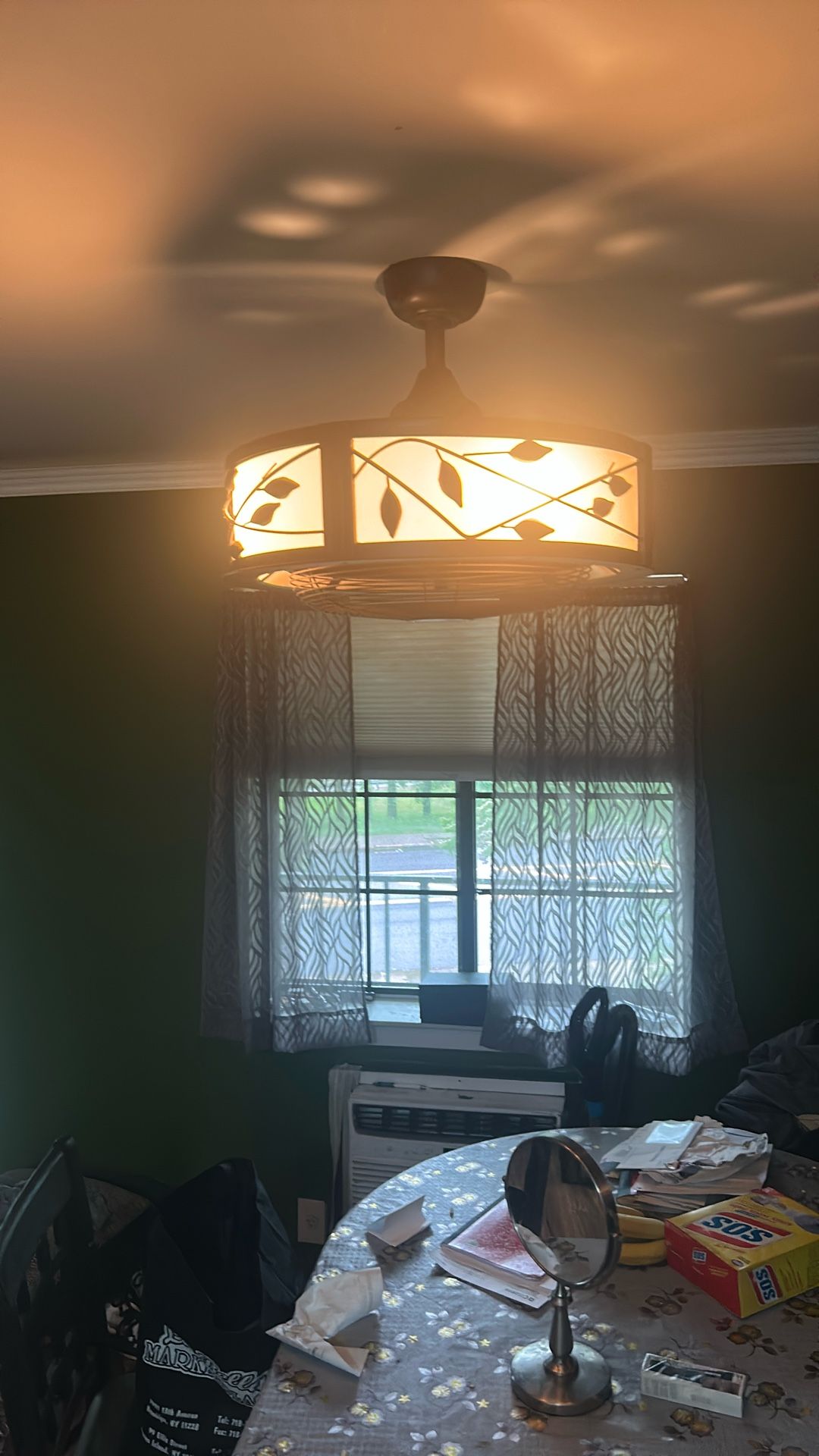 Ceiling Fan With Light