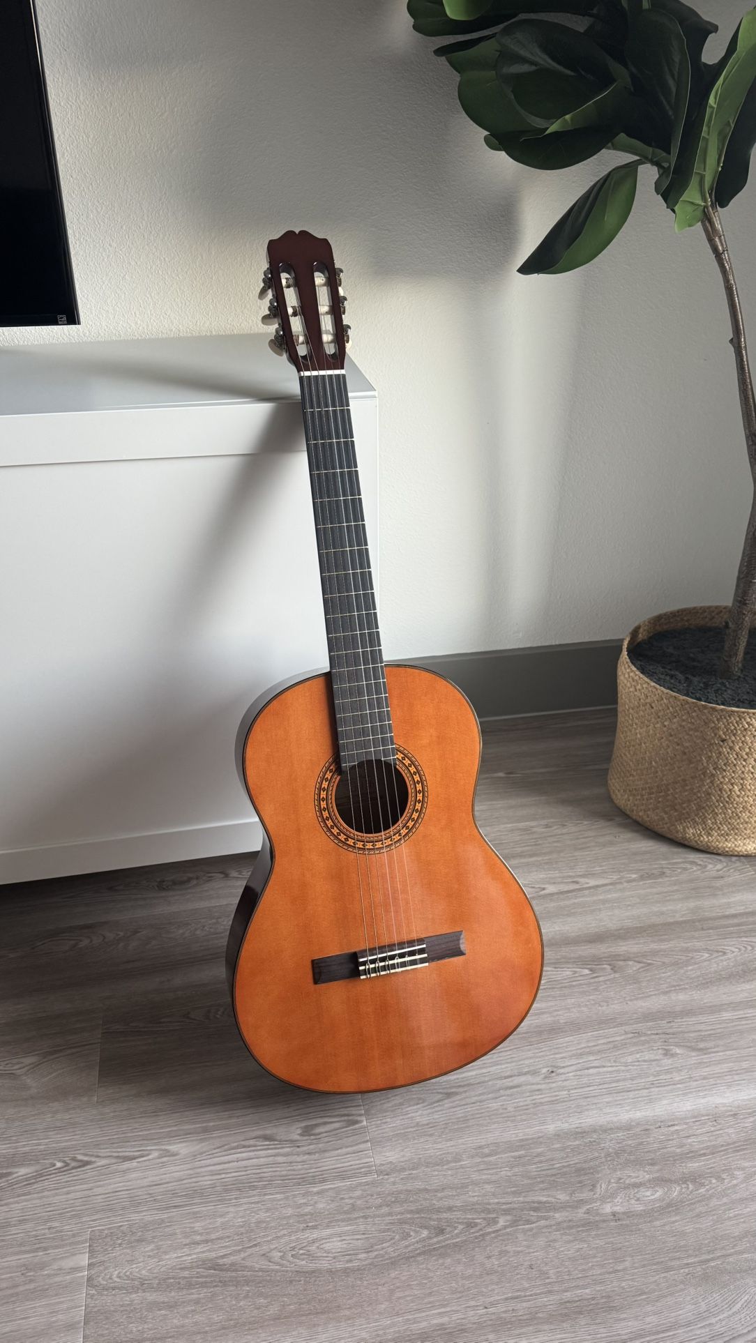 G116 Guitar For Sale
