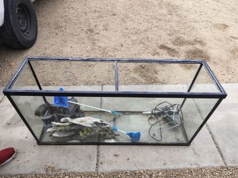 55 Gallon Fish Tank