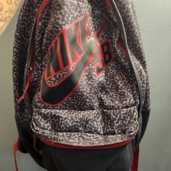 NiKE SB backpack