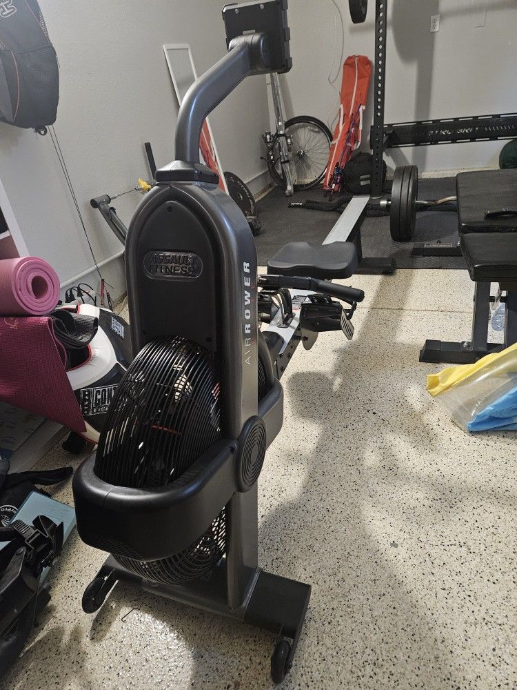 Assault Fitness Elite Air Power Rower