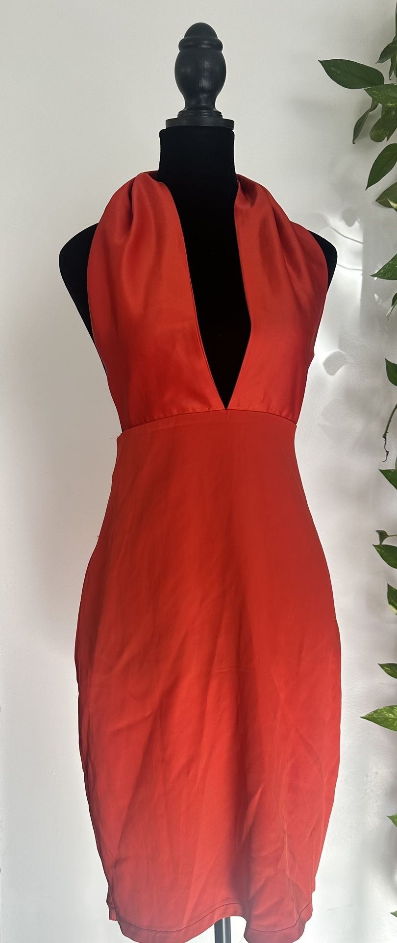 Open Back Dress (New)