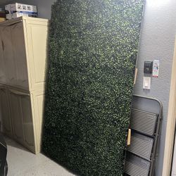 Backdrop