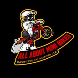 Mini bike mechanical