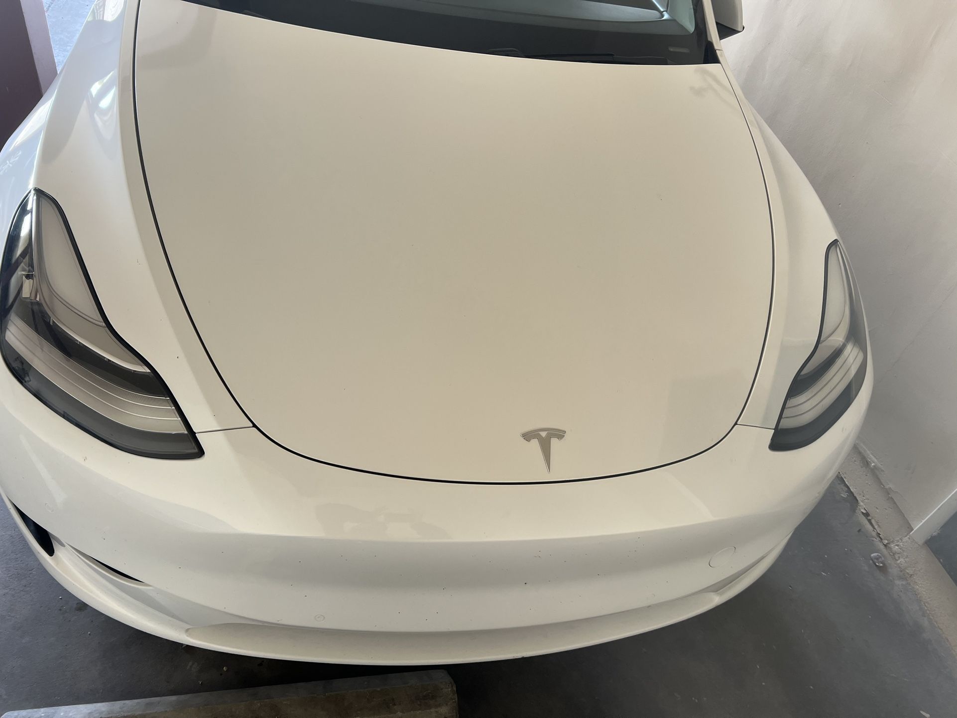 Model Y White On Blk 