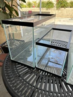 Fish Tanks