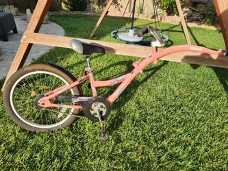 Wee ride co pilot bike trainer