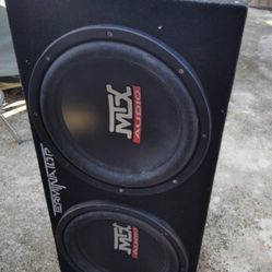 12" Pair Of Woofers And Sealed Box