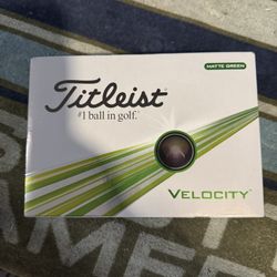 1 Dozen Brand New Titleist Velocity Green Golf Balls 