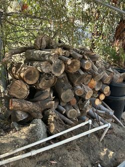 Eucalyptus Fire Wood