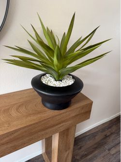 Faux Succulent