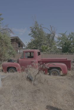 1956 Ford F