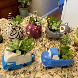 Adorable Ceramic Animal and Truck Pots Filled with Live Succulent Plants - $6 Each