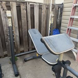 Olympic Weight Bench With Squat Rack 