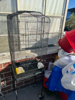 Bird cage