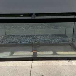 75 Gallon Tank 