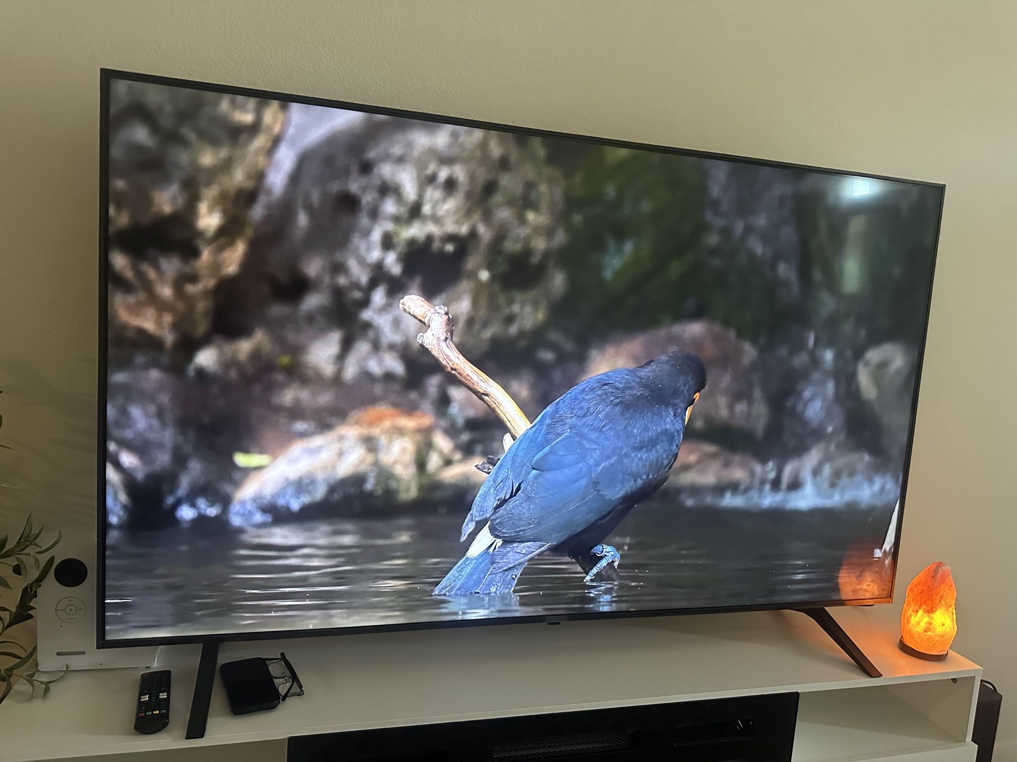 LG 70in 250