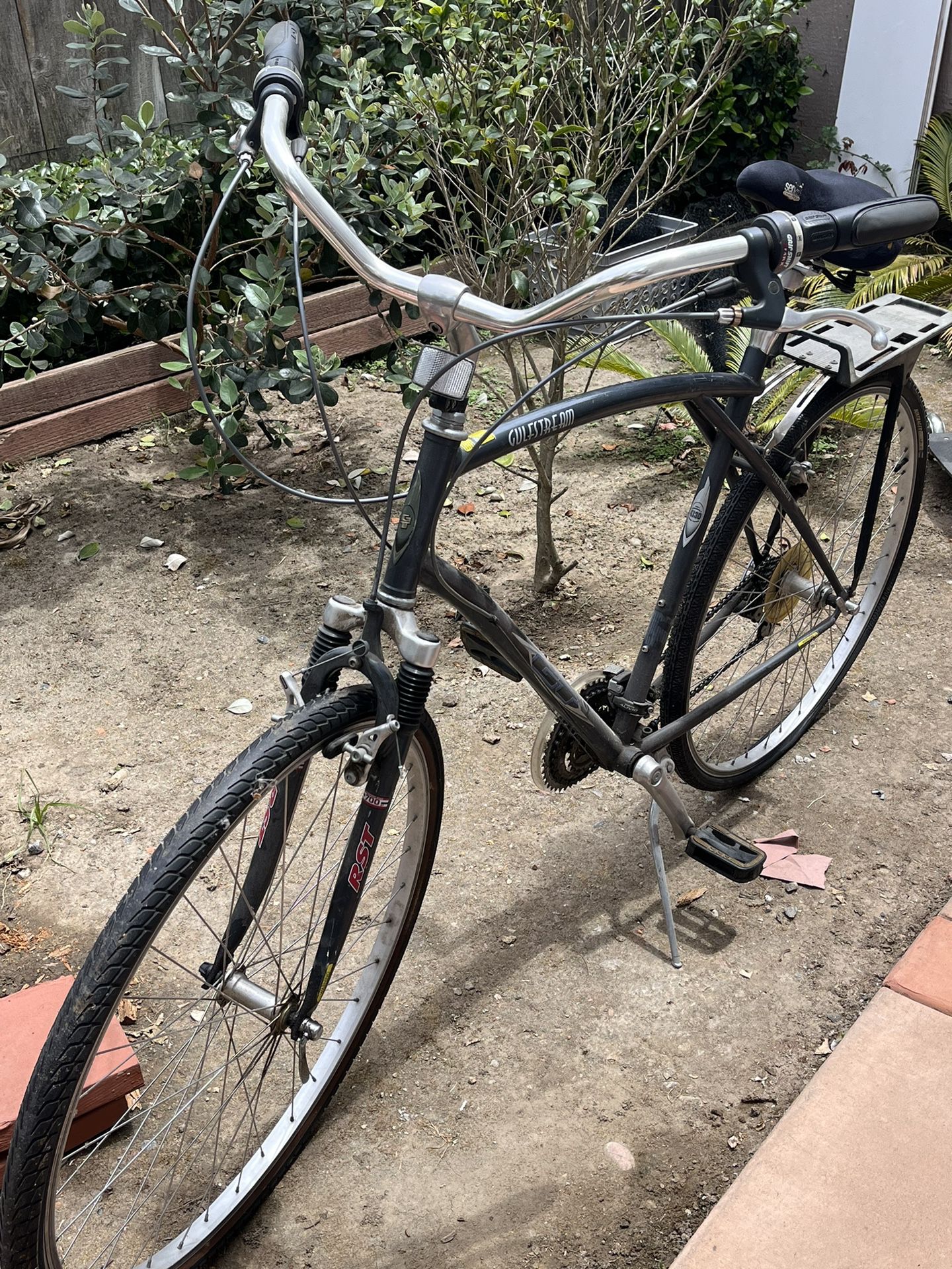 Adult Bike