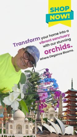Orchids /ORQUIDIAS  ...y many home & garden plants ....$10 & up