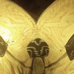 Justin's Genuine Vintage Snakeskin Boots  8 1/2 D