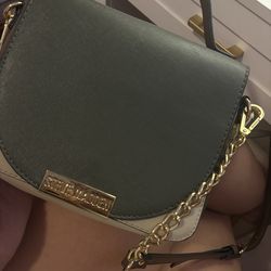Steve Madden bag