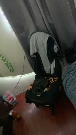 gaming chair
