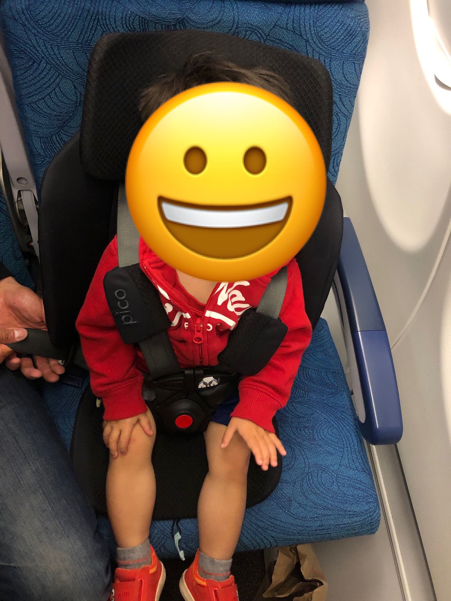 Barely Used WayB Pico Car Seat