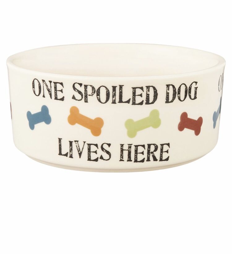 PetRageous Designs One Spoiled Dog Bowl, 5.5 cup