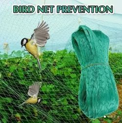 Bird Net