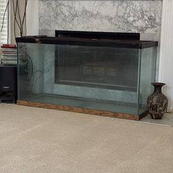 Fish tank for sale