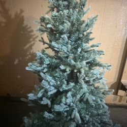 Free Christmas Tree 6-7 Ft