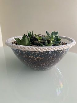 Large Desert Terrarium