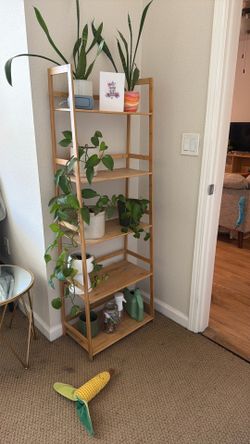 Plant shelf