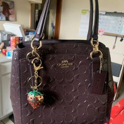 Women’s Purses Some Used Some Brand New 