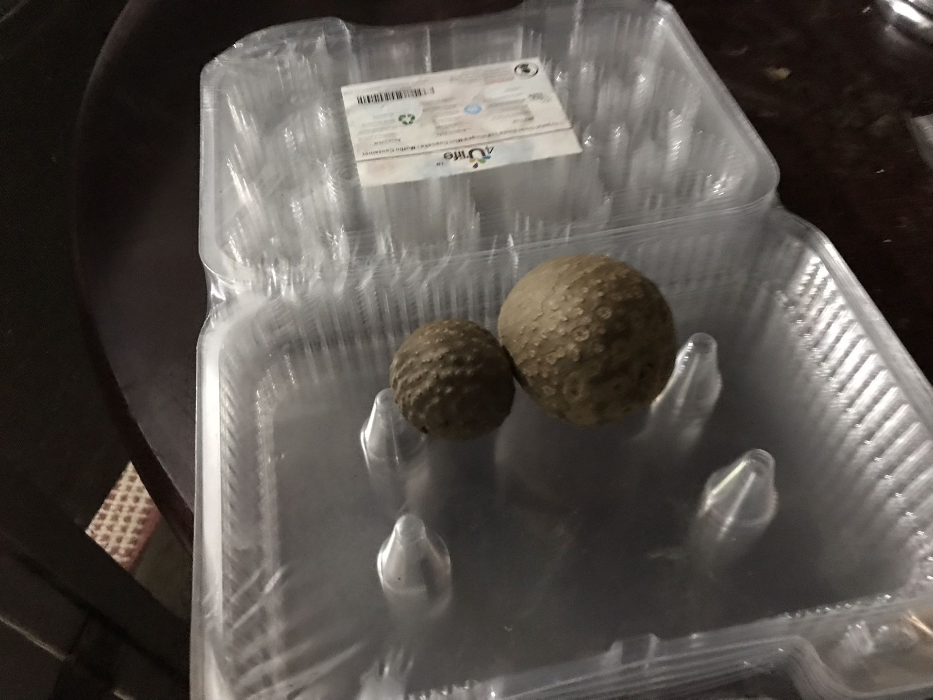 Air Potato Bulbs
