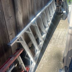 Ladders 