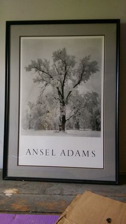 ANSEL ADAMS “WAS”  PROFESSIONALLY  FRAMED & MATTED.  BUT NOT NOW.